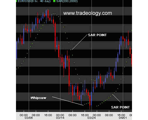 Forex traders secret code
